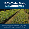 Yerba Mate PBA Tradicional, 500 g [Mate Herbs]